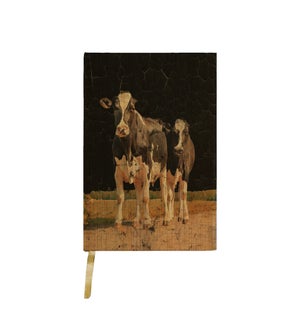 Two Holstein Cows Black Journal